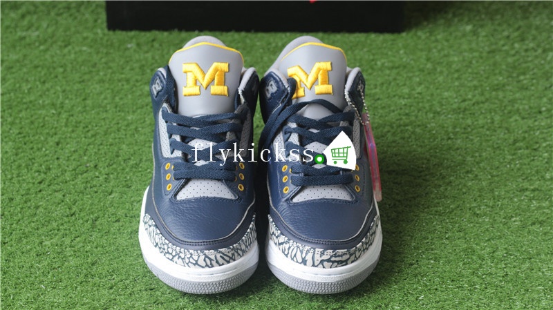 Authentic Air Jordan 3 Retro MICHIGAN PE